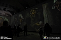 VBS_8071 - Van_Gogh_experience